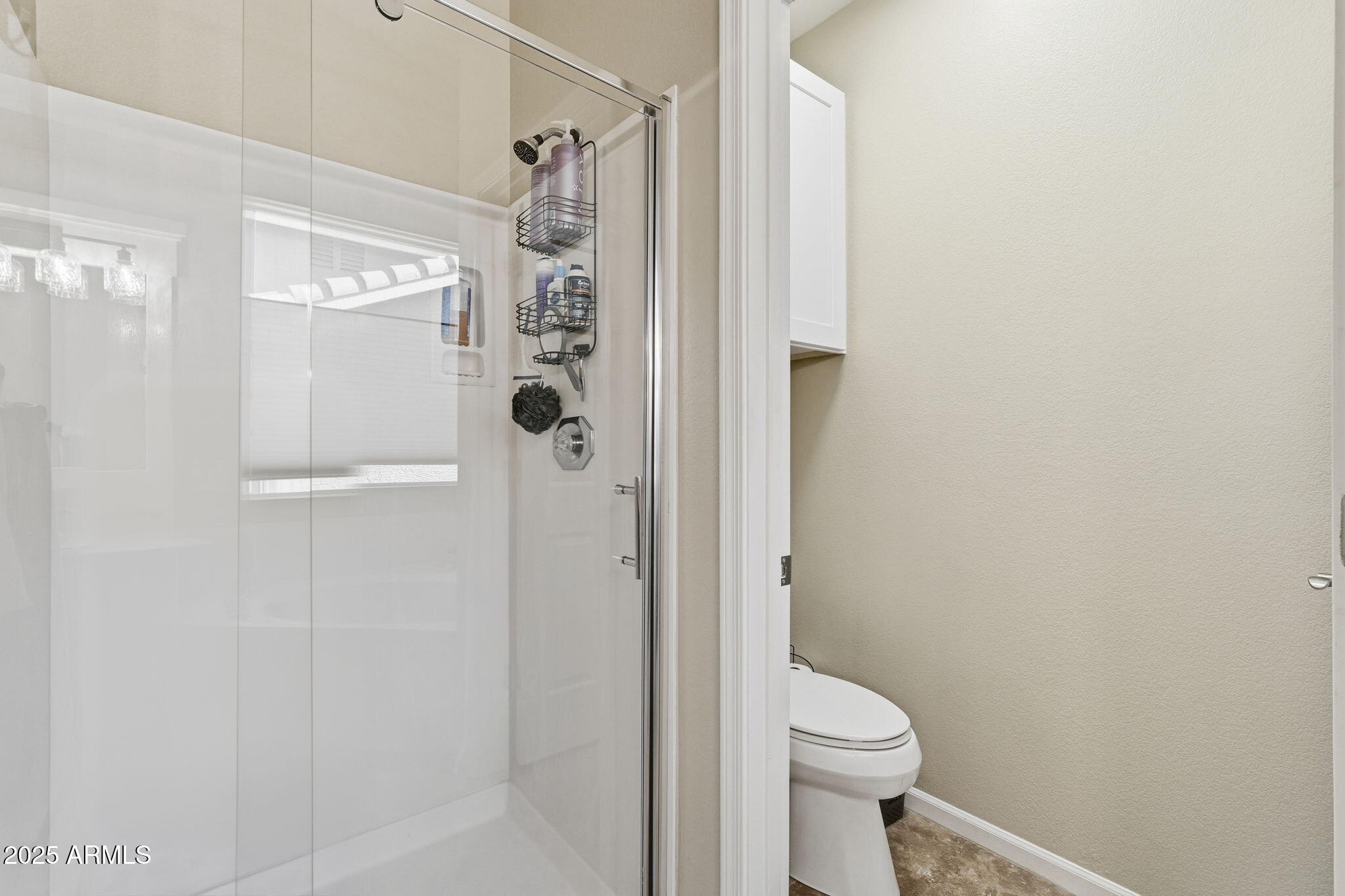 8696 E ALOE Drive Gold Canyon, ON 85118