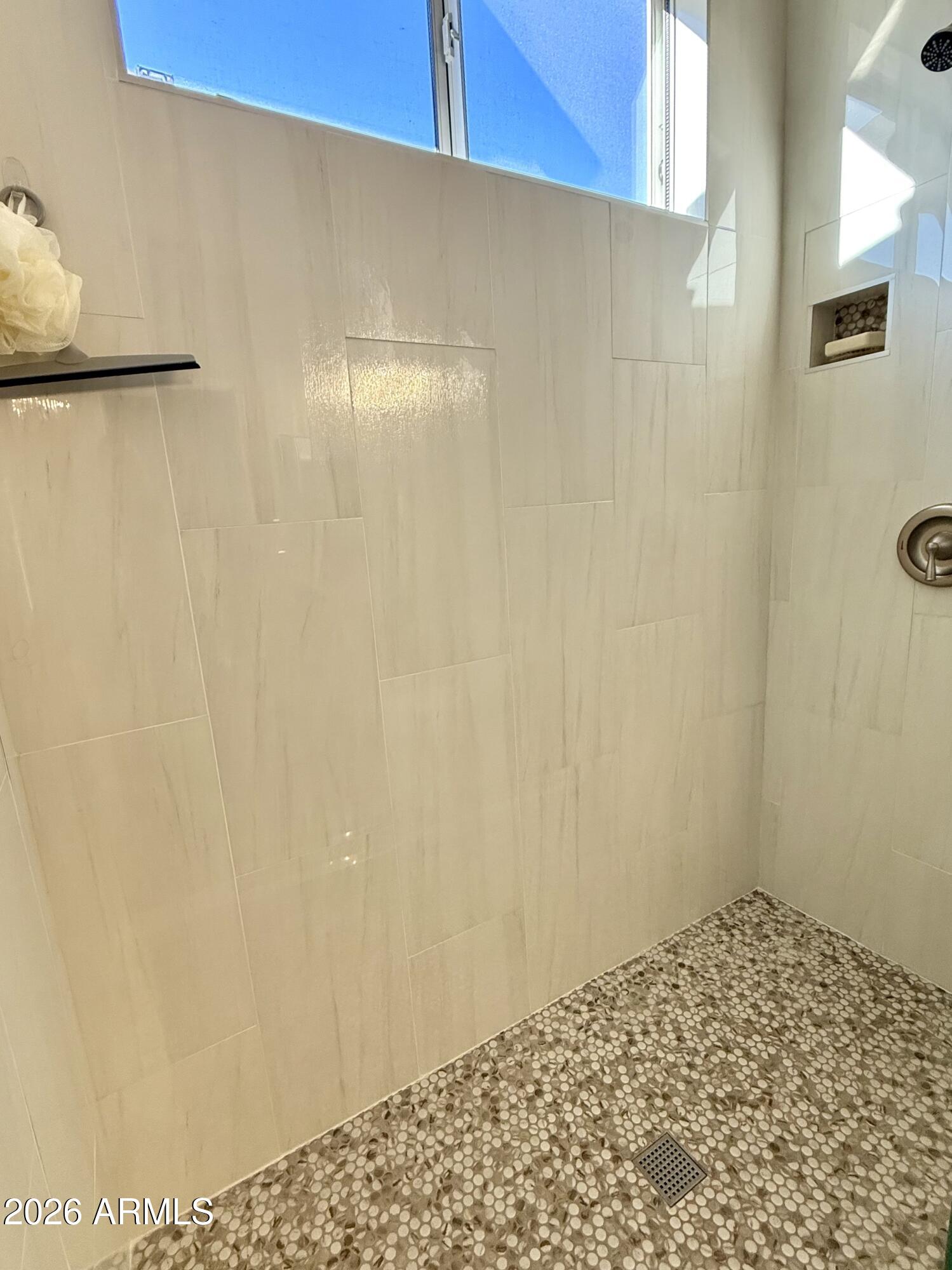 8696 E ALOE Drive Gold Canyon, ON 85118