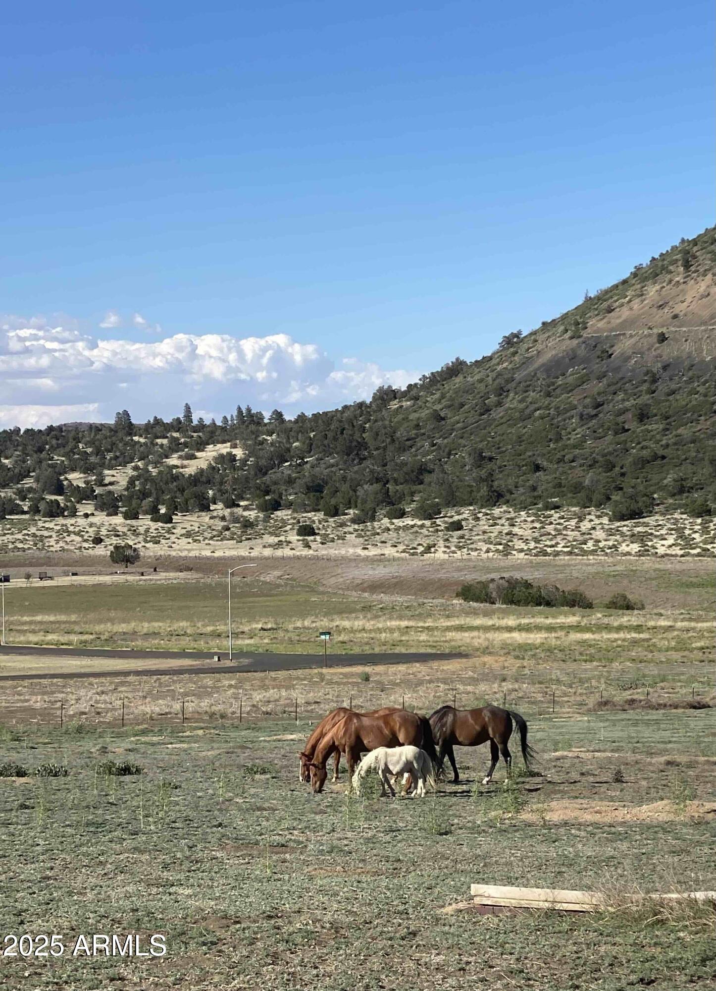 12907 BLAZING ORE Trail Flagstaff, AZ 86004