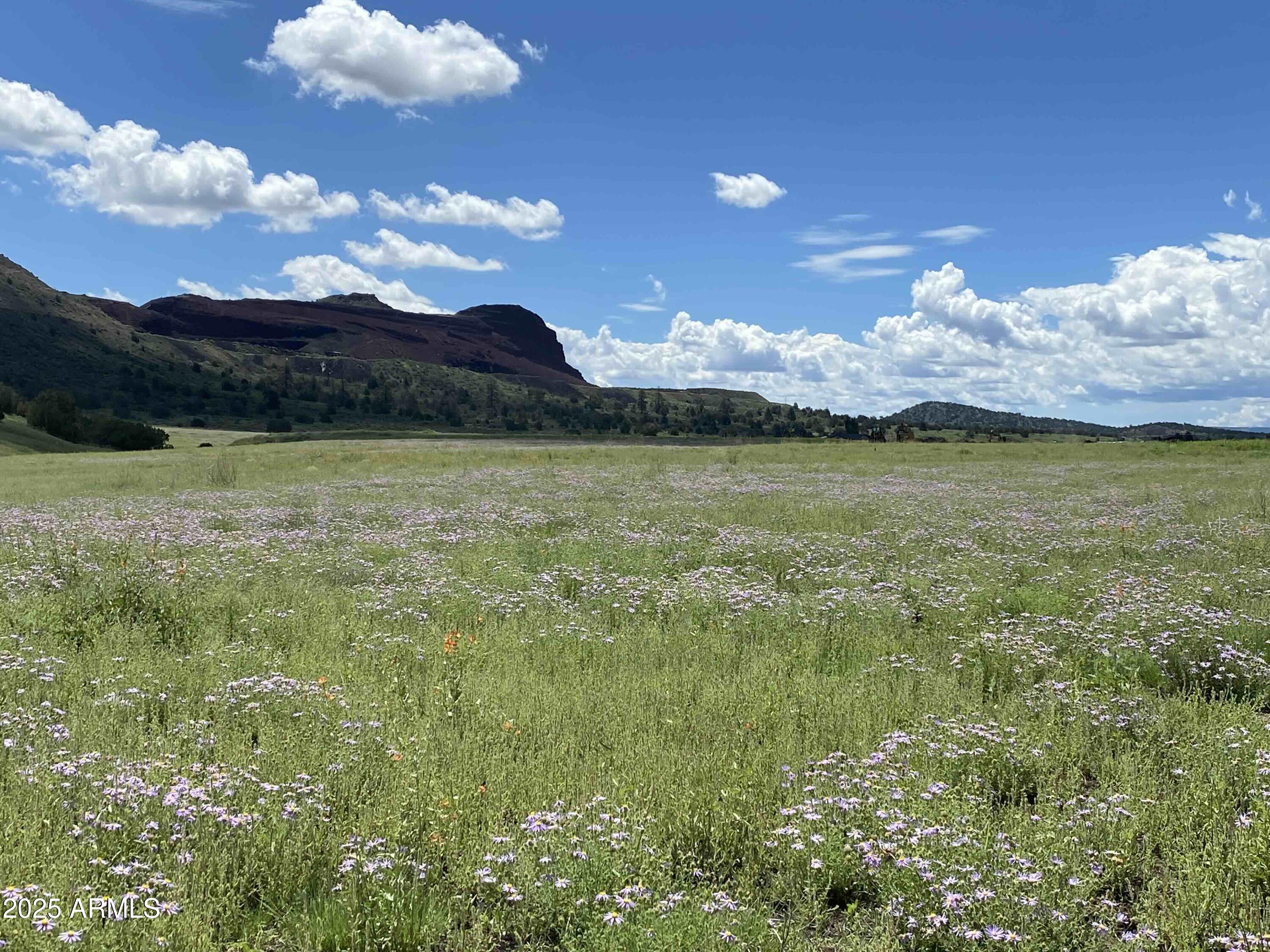 6468 MEADOWS Lane Flagstaff, AZ 86004