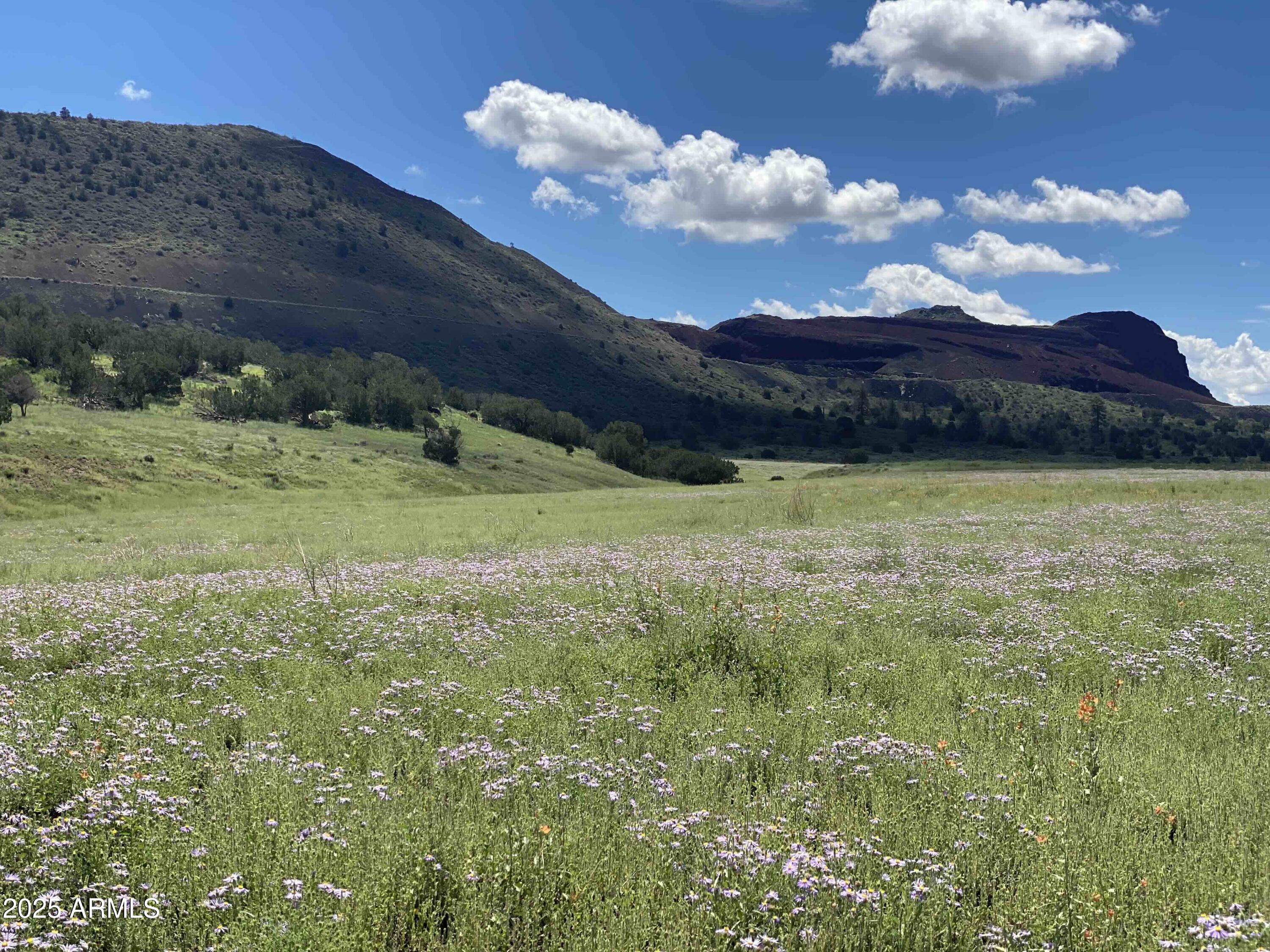 12913 WILD HORSE Trail Flagstaff, AZ 86004